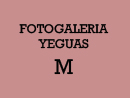 Yeguas Criollas M